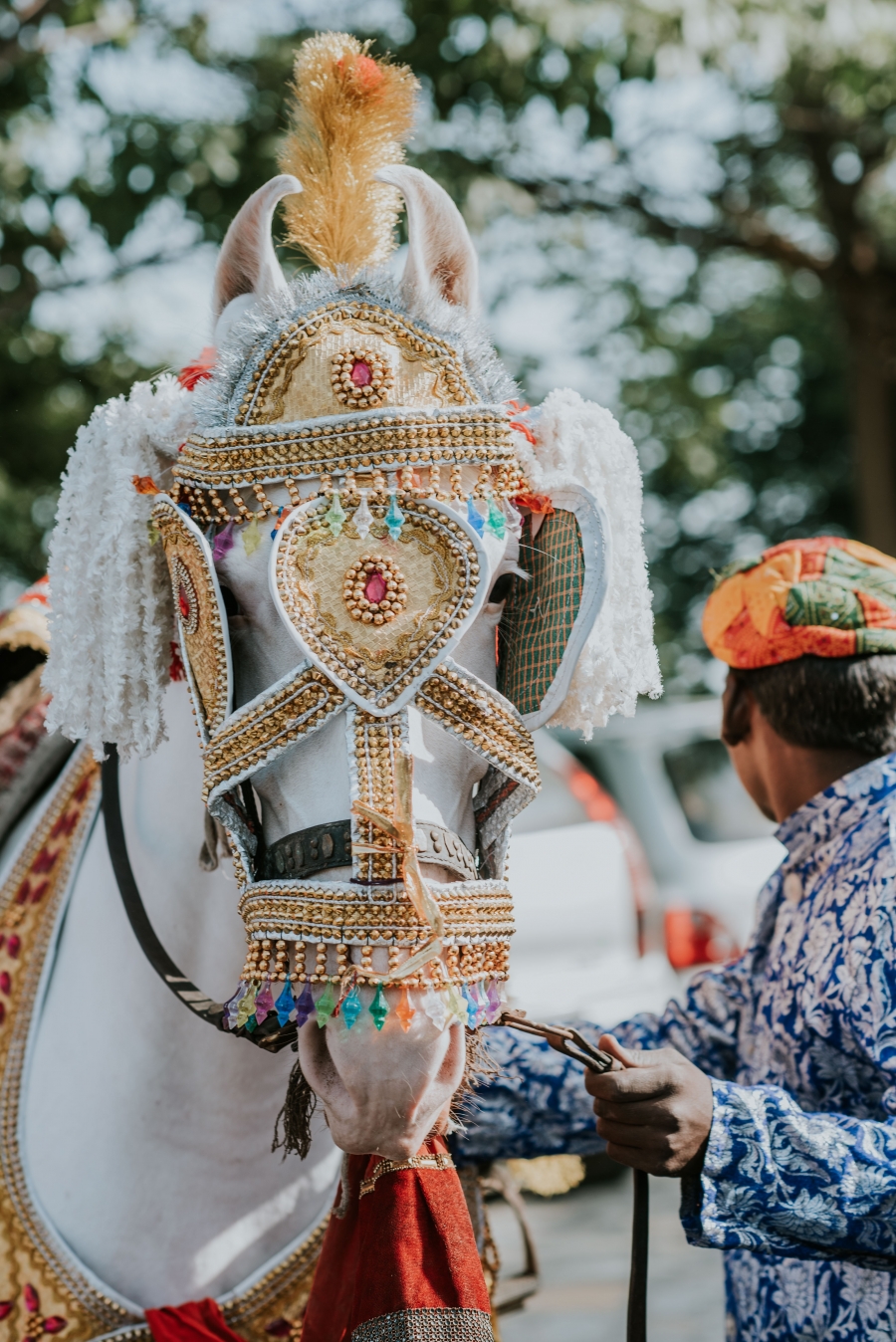 FIH Fotografie » Sehera Bandhi in and Baraat procession