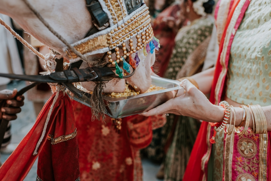 FIH Fotografie » Sehera Bandhi in and Baraat procession